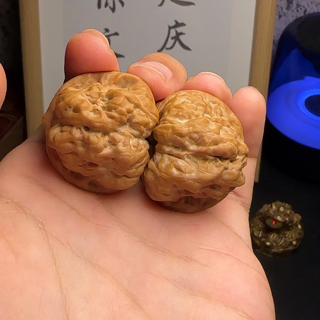羽***具蛤蟆头全品35尺0021
