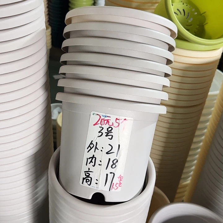 微瑕3#灰白10个托无