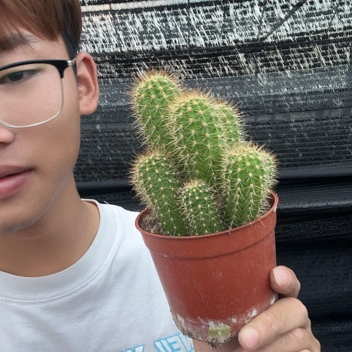 飞***舞无花朵克斯丁哈哈哈哈哈哈哈哈哈