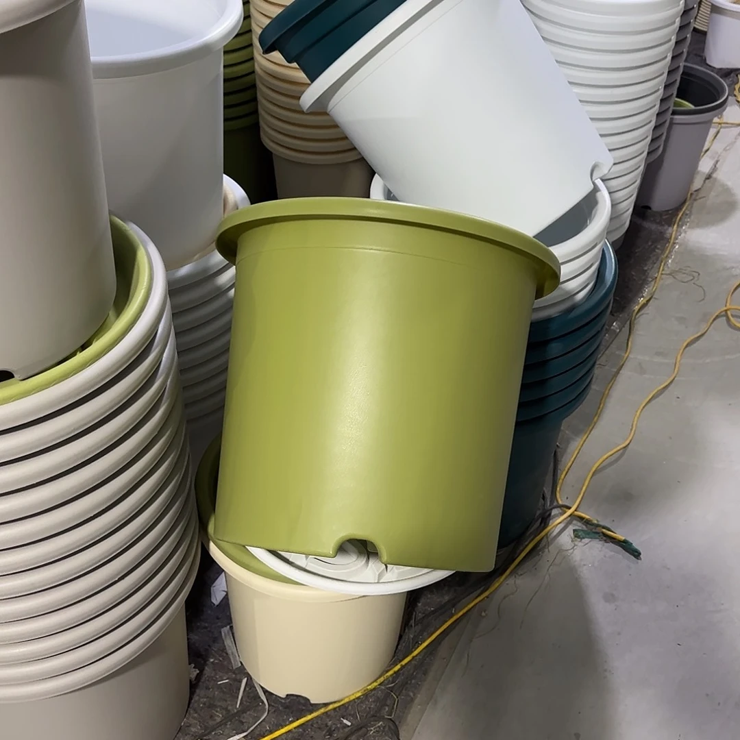 微瑕9号8个无托，果绿