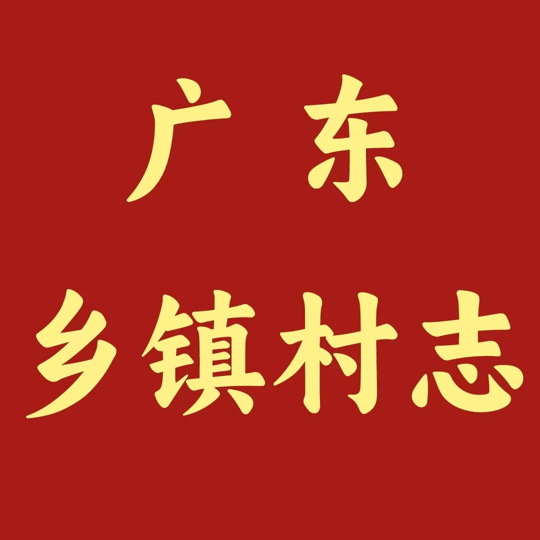 广东省 乡、镇、村志（正版 二手 8成新）