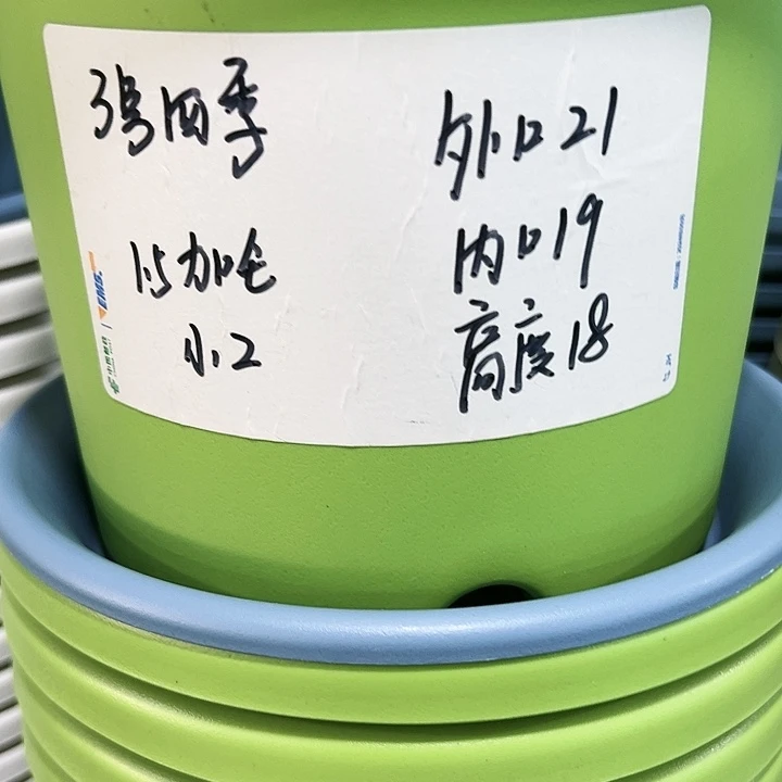 特价3号口21高18白色10只无托