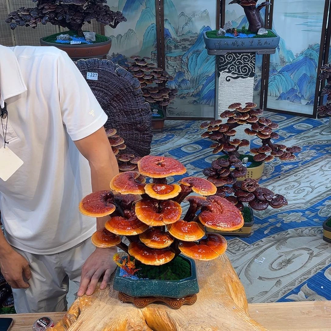 无花朵888888888888