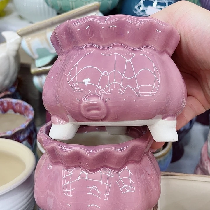 多肉植物陶瓷花盆