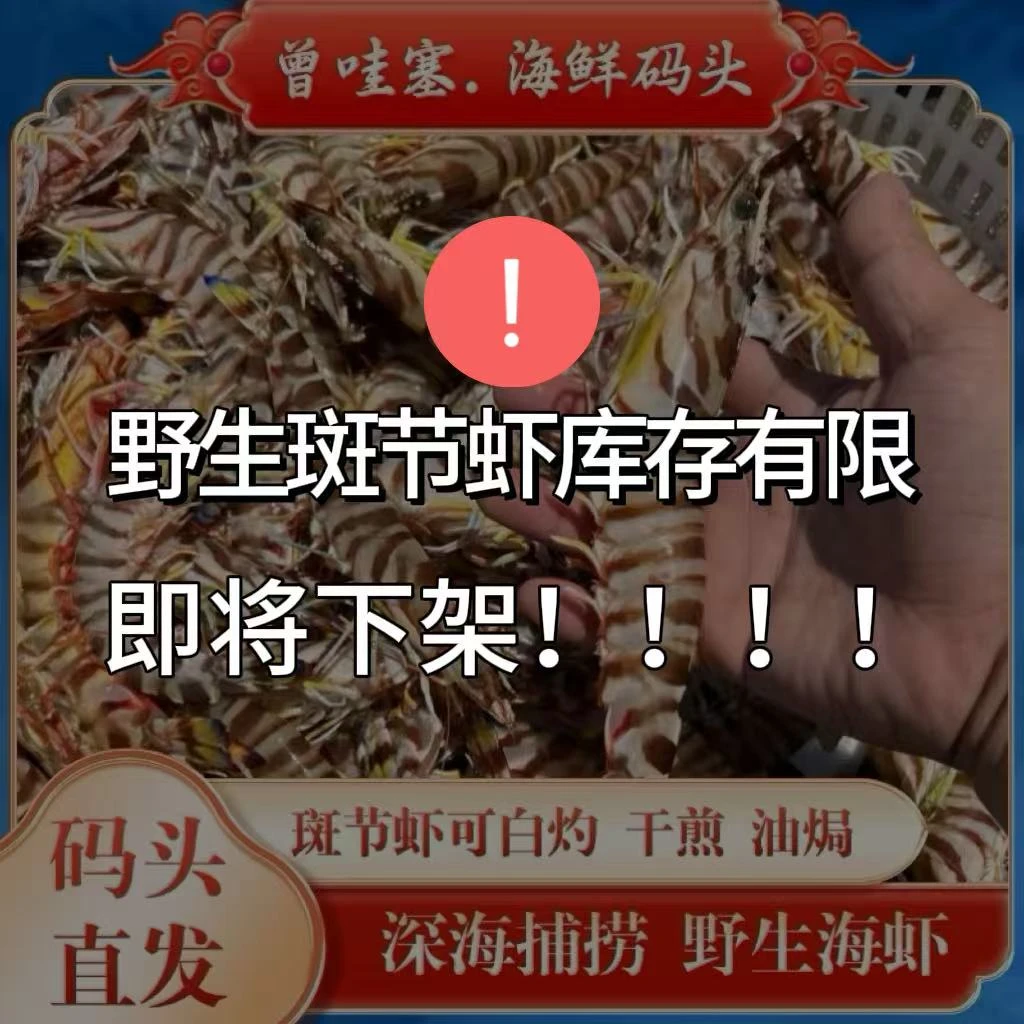 【码头价斑节虾】汕尾本港码头野生斑节虾深海现捕壳薄肉厚8-10条海鲜大虾 九节虾花虾