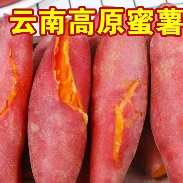 【海拔1600米高原蜜】云南特产新鲜沙地现挖红心红薯黄金蜜薯地瓜