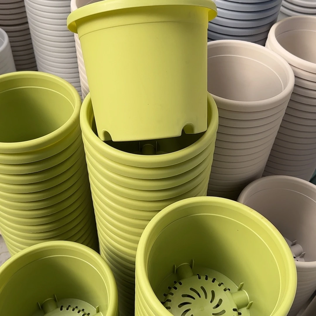 微瑕3号10个无托，果绿