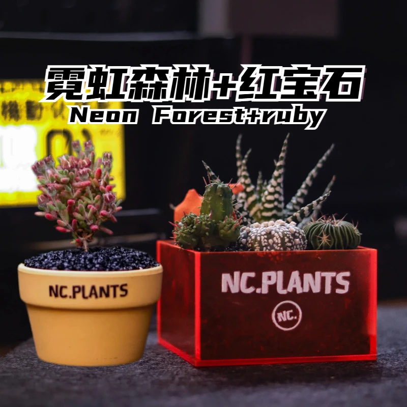 【NC.PLANTS 霓虹森林+红宝石】两种盆栽浮力 | 赛博风格 | 成品