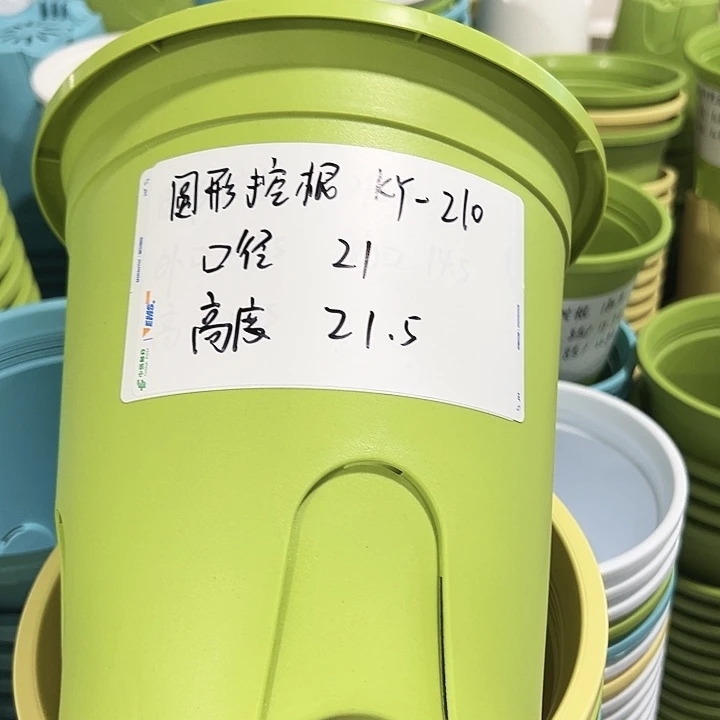 正品圆控口21高21果绿无托8只