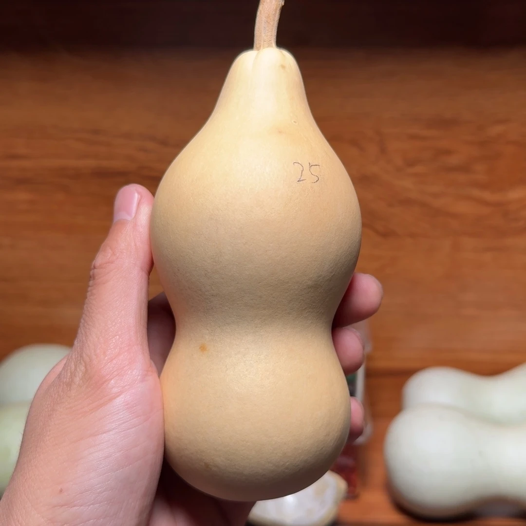 25号本长葫芦定向链接