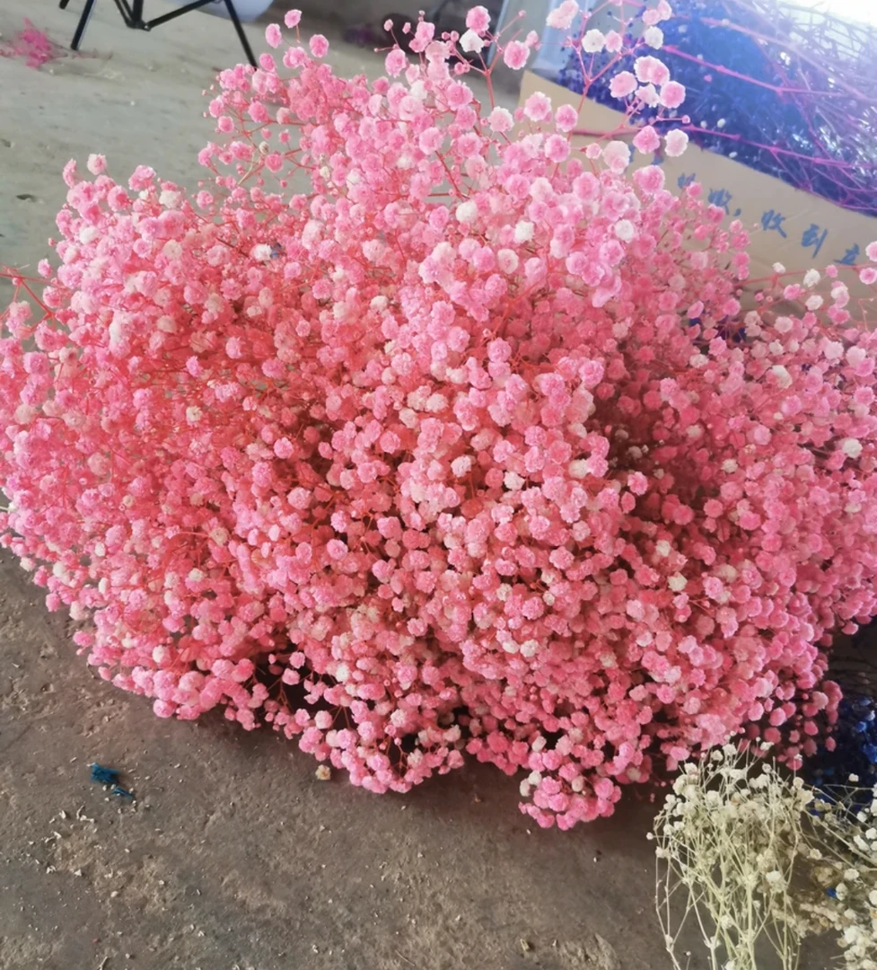 永生满天星A级3把组