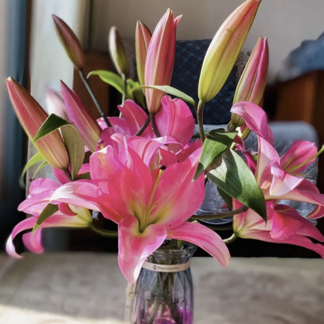 云南昆明基地直发火石香水百合水养鲜花 家用插花 顺丰包邮