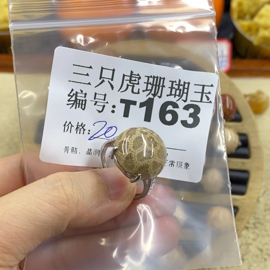 硅化珊瑚（珊瑚玉）1未镶嵌㊗️****