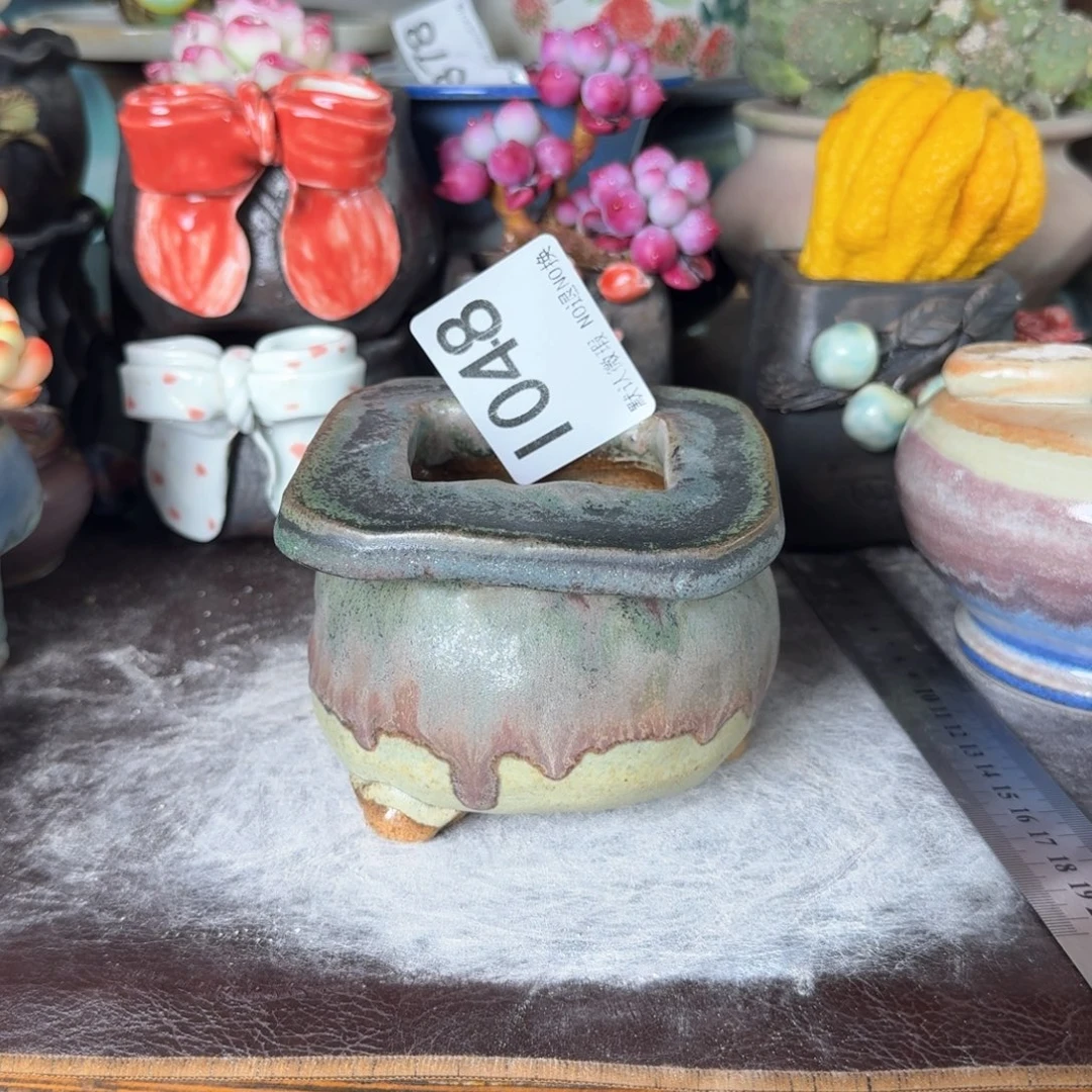 重庆小燕子欢迎大家048