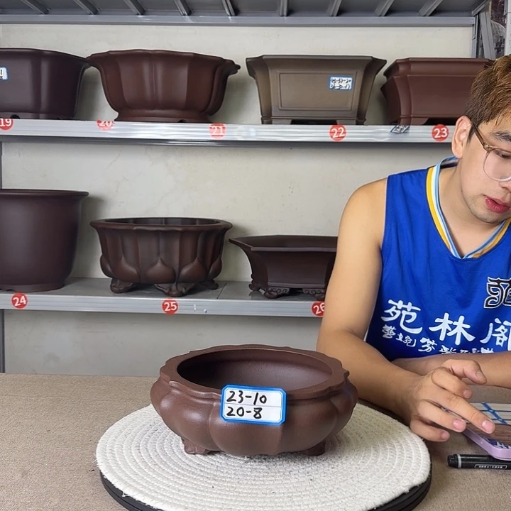 紫砂花盆哈哈哈哈