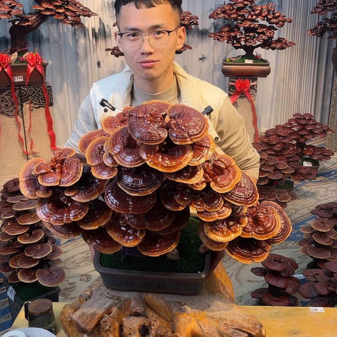 无花朵888888888888
