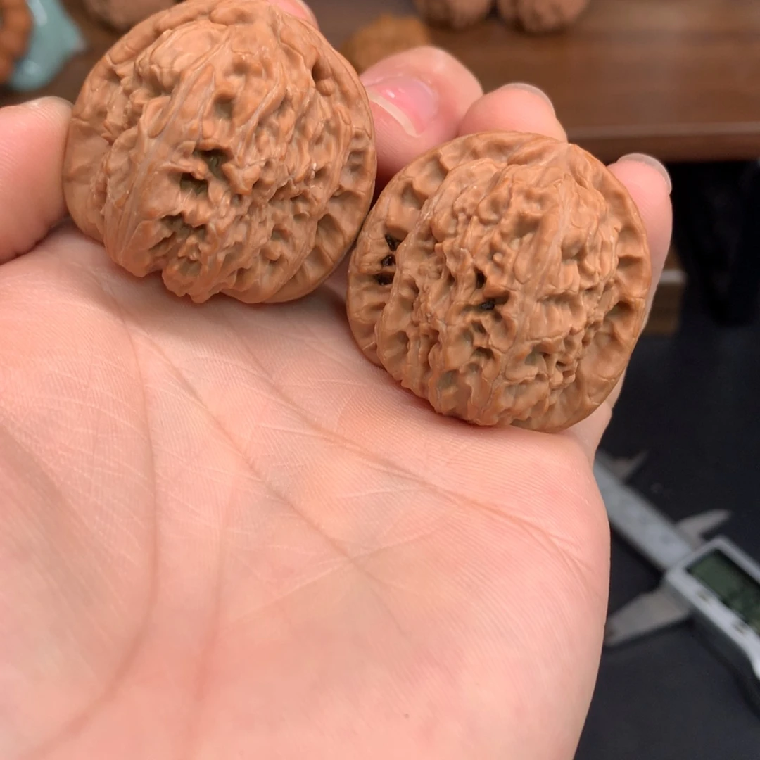 文玩核桃手串39白狮子
