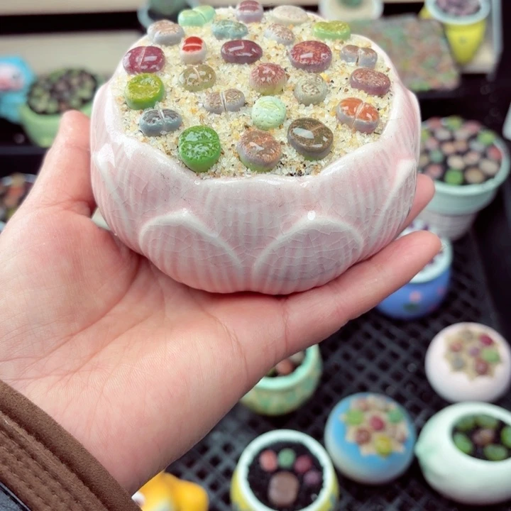 833零下地区记得拍保温箱