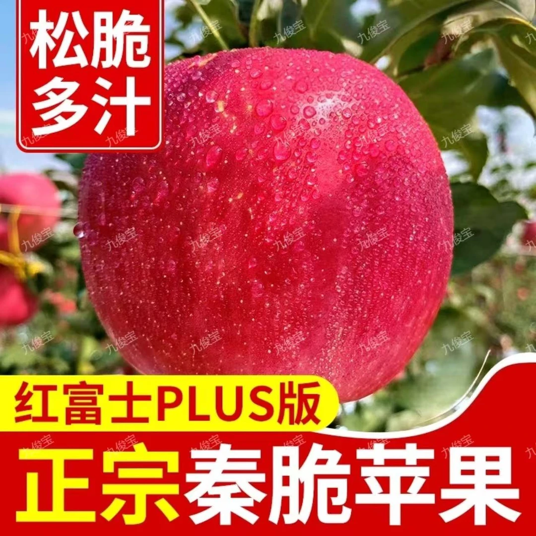 陕西正宗乾县秦脆苹果脆甜红富士苹果新鲜水果