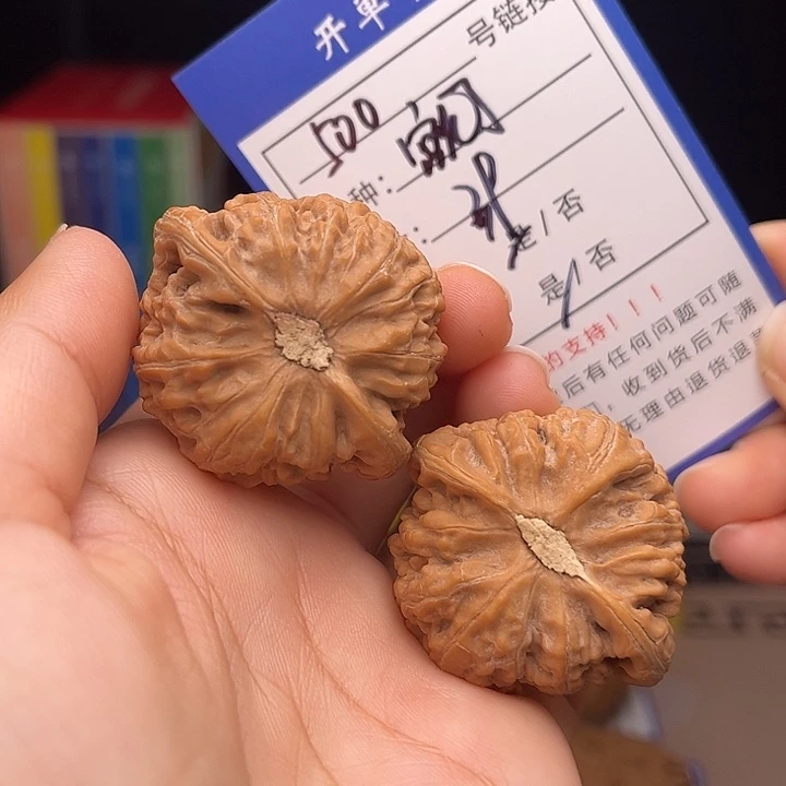 文玩核桃手捻核桃500