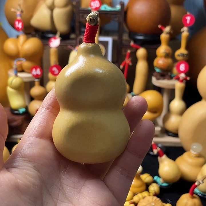 是***呀葫芦丝是我们每个学生时代中