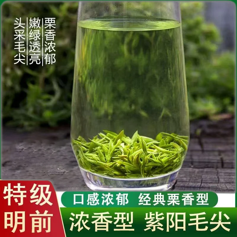 特级紫阳富硒茶产区毛尖绿茶雨前毛尖高山绿茶浓香型回甘新茶叶