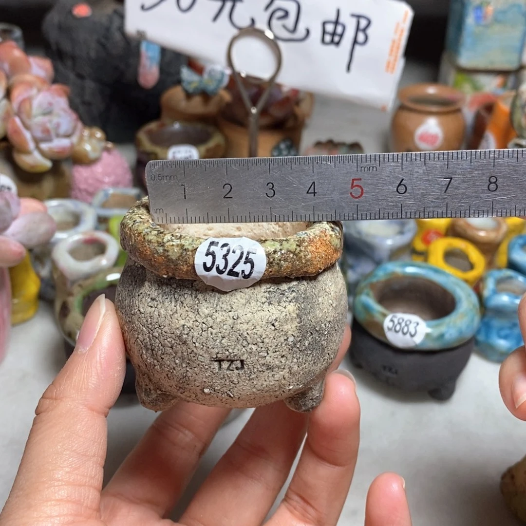 拍3送一个小礼物