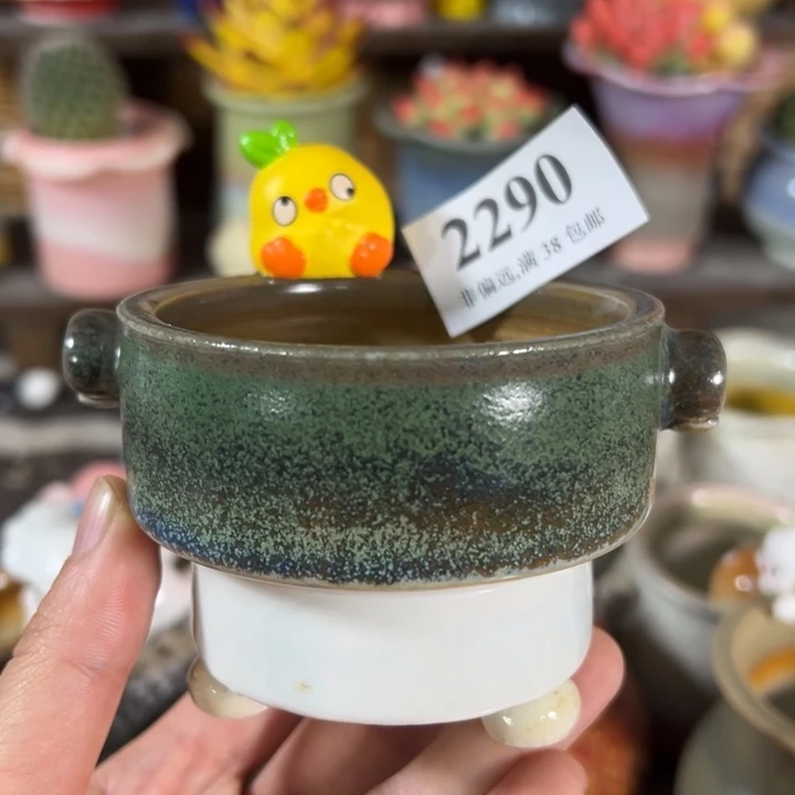 口6高5 ……未满30元运费到付