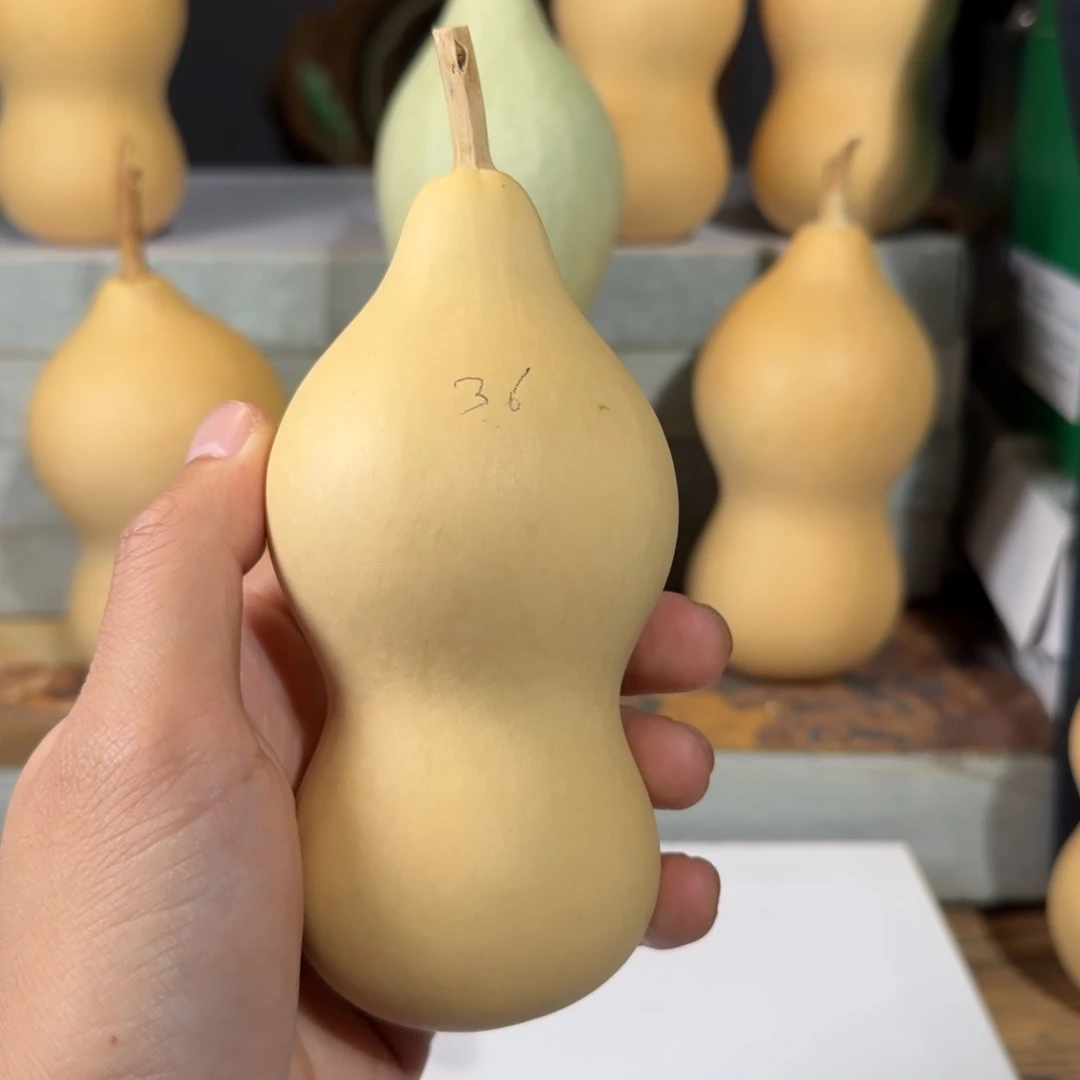 36号本长葫芦定向链接