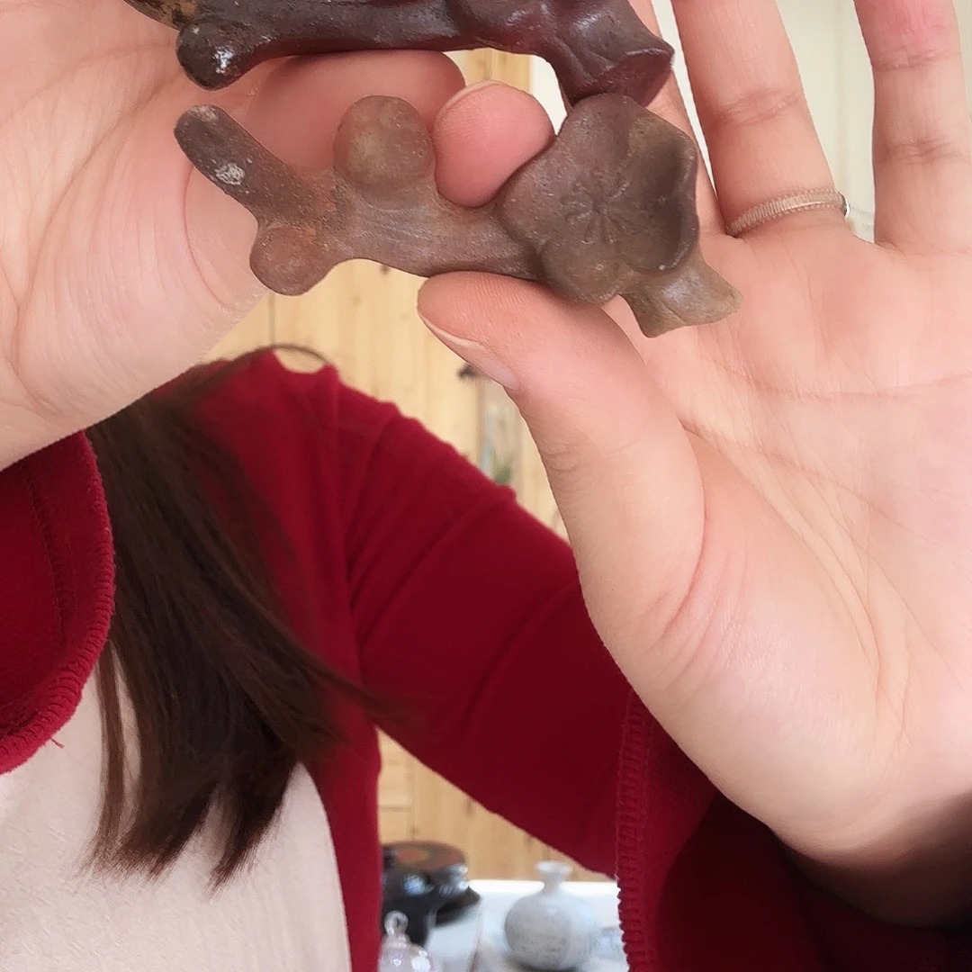 杯亮亮亮亮亮亮记录