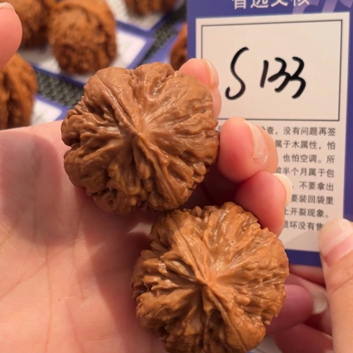 文玩核桃把件S133号霸王龙40尺