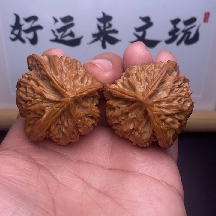 核桃小尺寸三棱子
