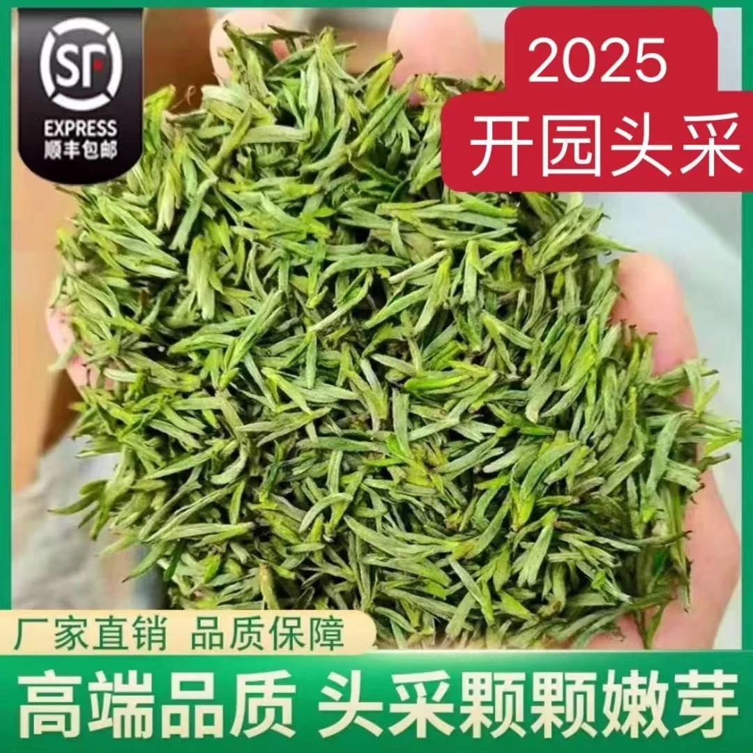 2025新茶 黄山毛峰 正味兰花香 滋味鲜美 浓郁醇香