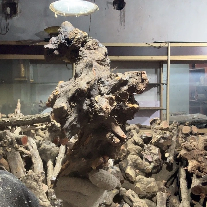 风***的香榧木火琉璃的故事是一