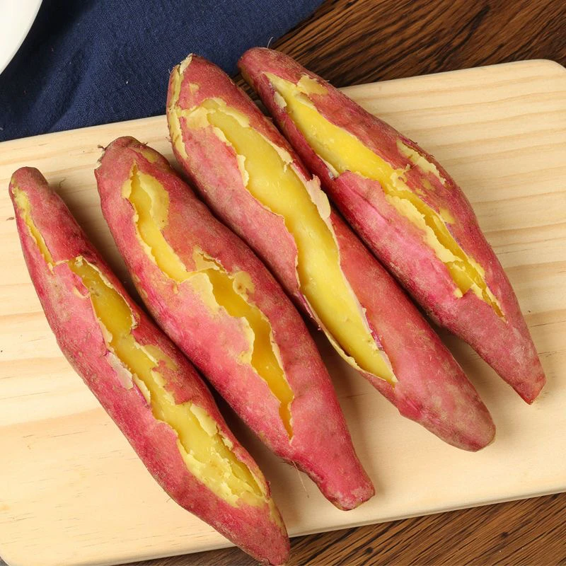 【众旺农场】红薯 板栗红薯 地瓜 1/3/5斤顺丰包邮送货上门板栗红薯天津市