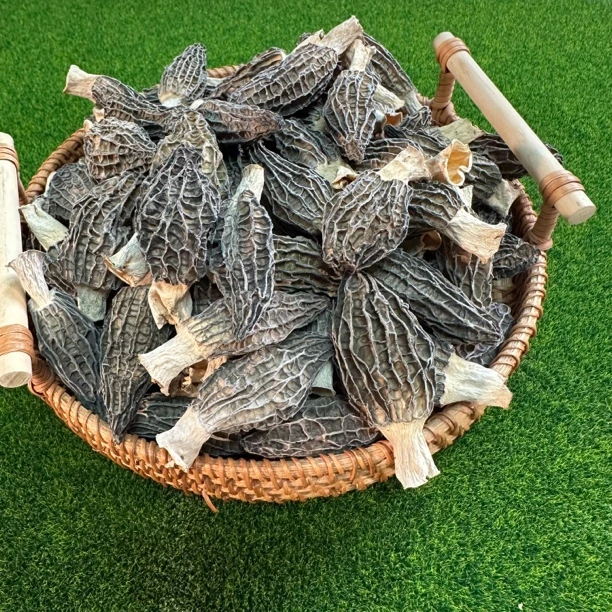 【年货专属】浓香型高山林地羊肚菌