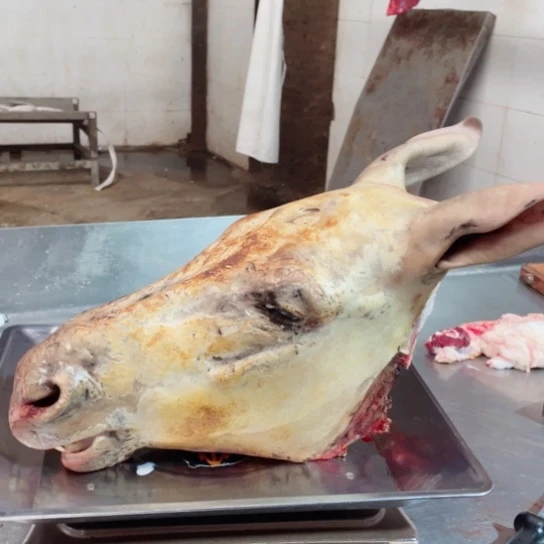 【闪购商品】冷冻保存30天包装河北省