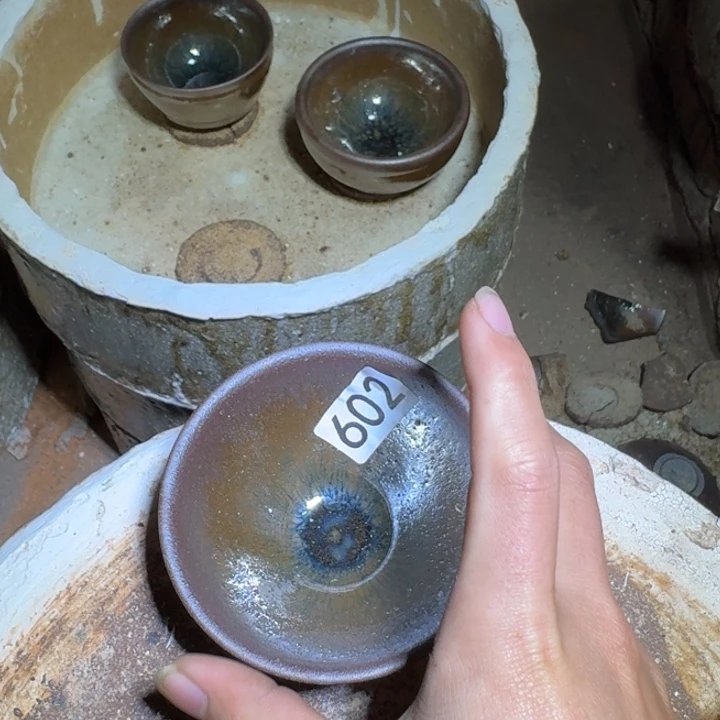 茶盏提出解决农村留守学生入学