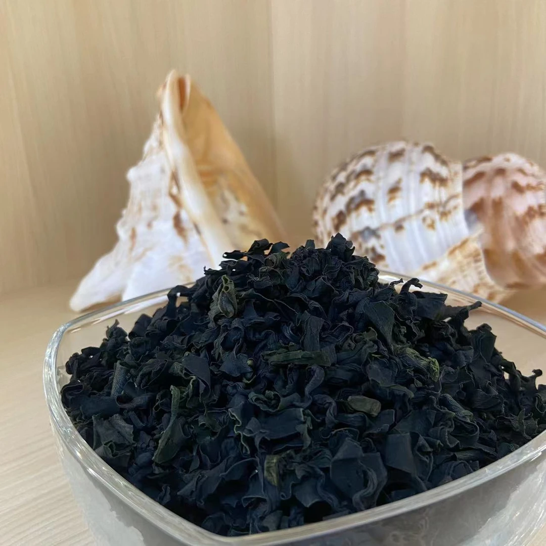 全干裙带菜干货免切免洗无沙高倍泡发可凉拌的藻类食材