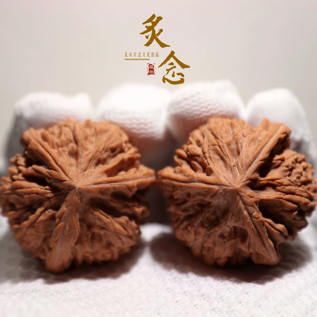 御龙正奔 · 42 一物一图 文玩好物 文山正奔