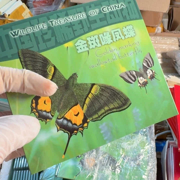 其他普通金属凤蝶卡册