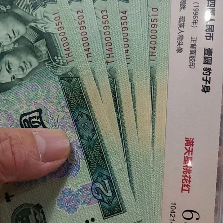 塑料902标十TH40009501带豹子身