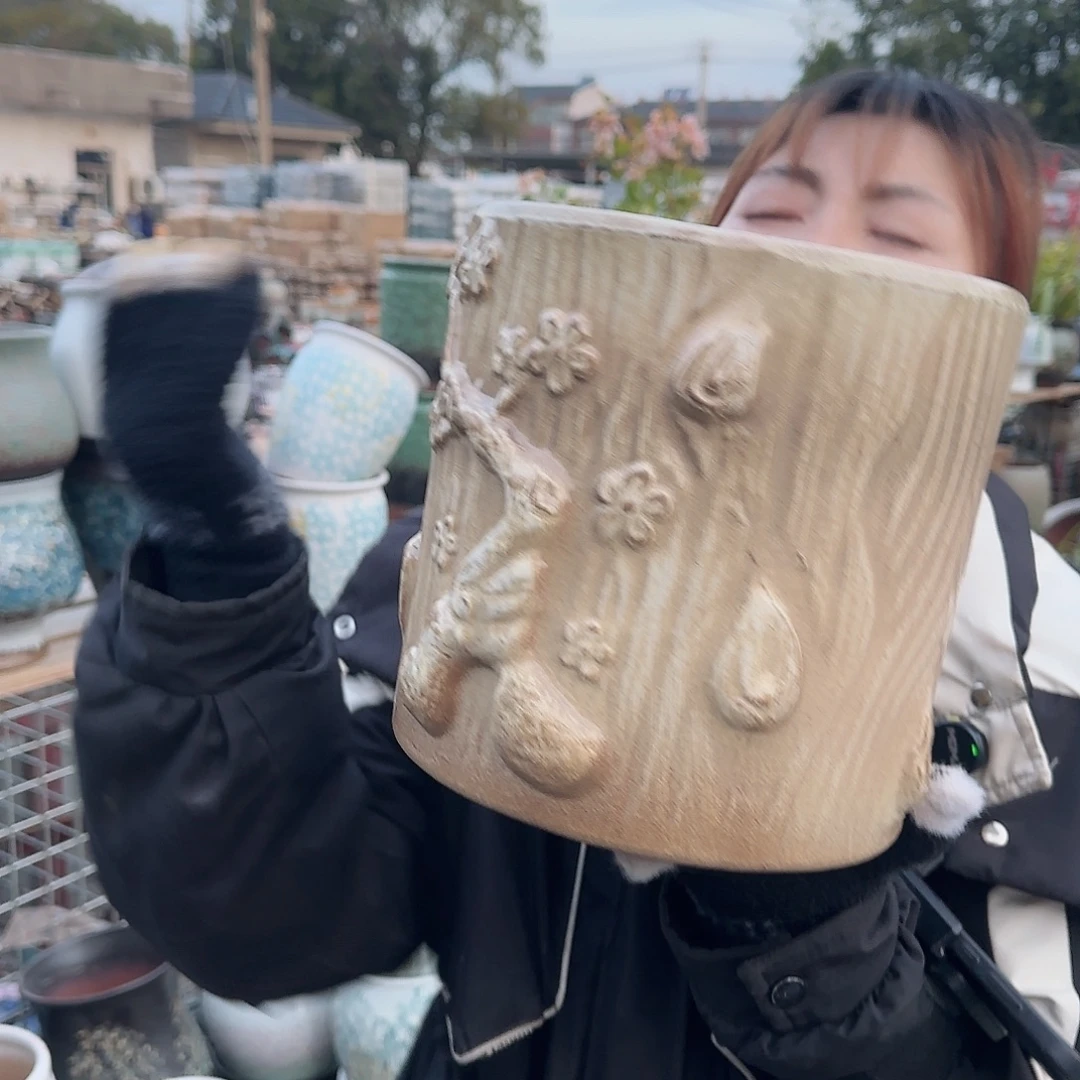 王嫂花盆1223-311高20口20