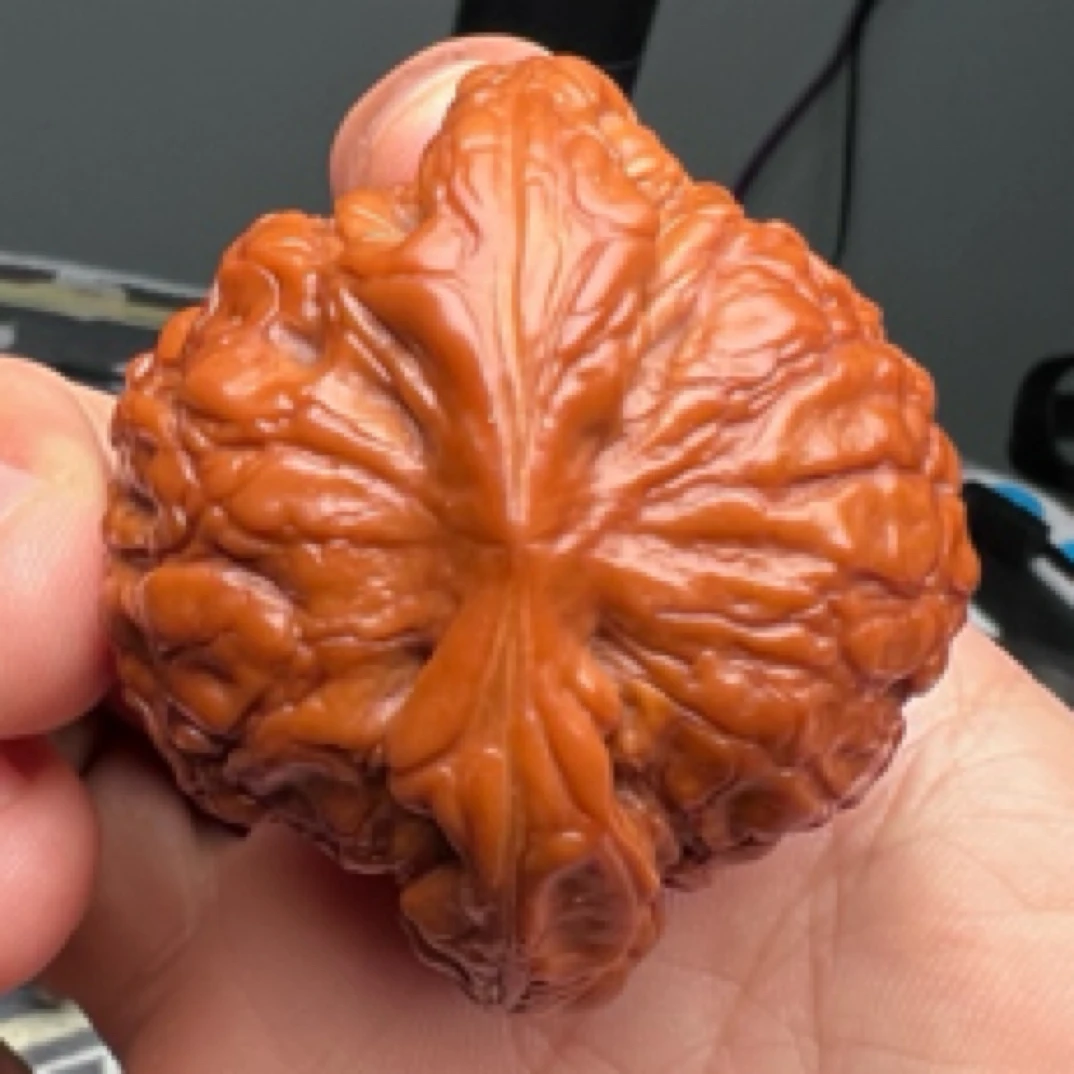 文玩核桃回血做旧老核桃
