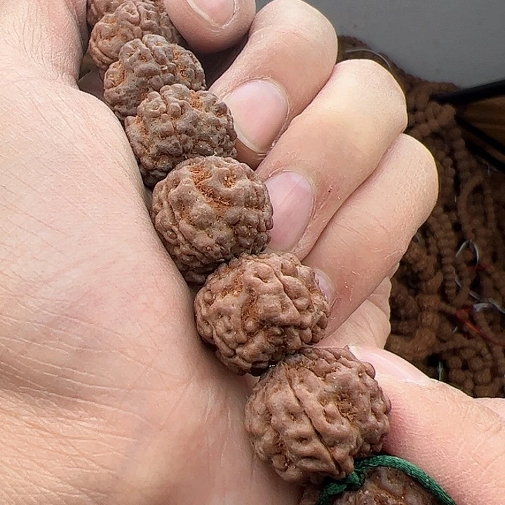 金刚菩提手串玄*帝王花