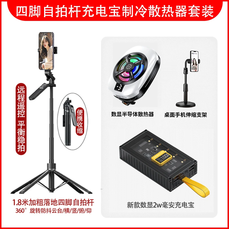 百科仕 组合四件套多接口充电宝三挡制冷散热器落地自拍杆支架T
