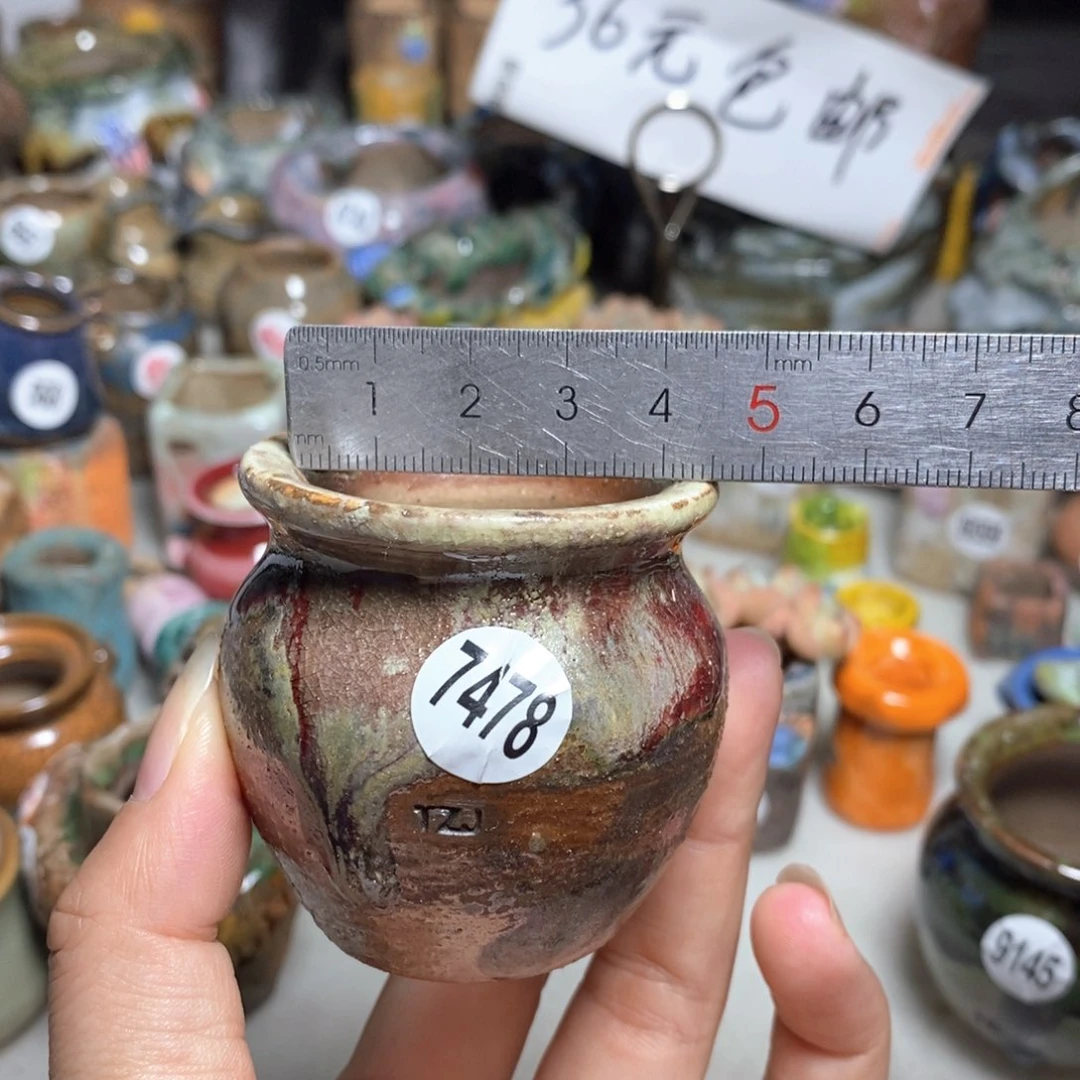 拍5送一个小礼物