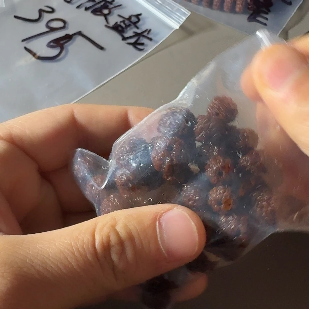 金刚菩提吊坠吴*祖蜂王散籽