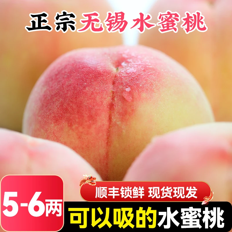 正宗无锡湖景水蜜桃当季时令现摘现发香甜多汁顺丰冷链包邮