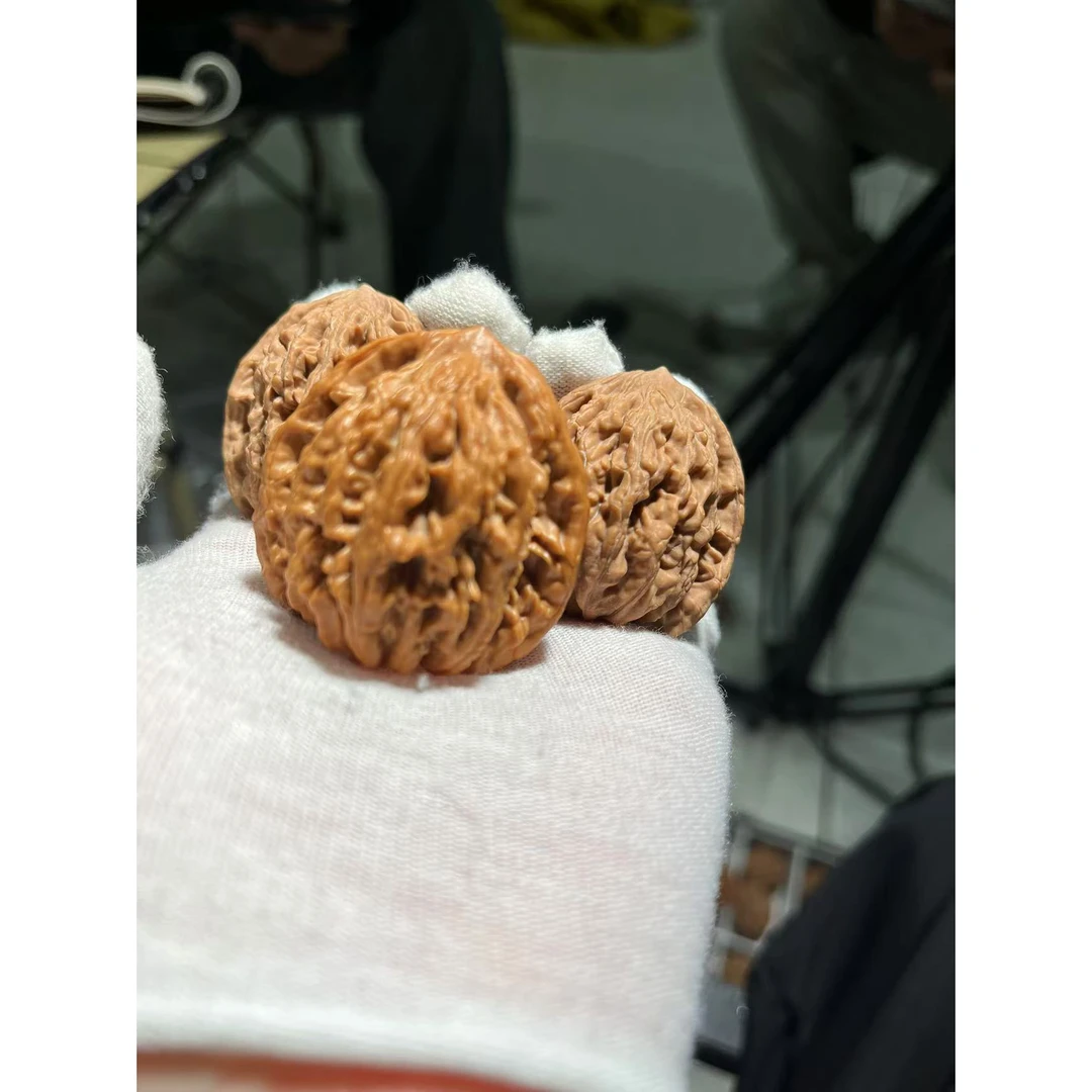 24年老树全品麦穗虎头尺寸可选